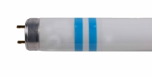 Philips Master TL-D Secura 18W 840 Cool White 590mm 64010940